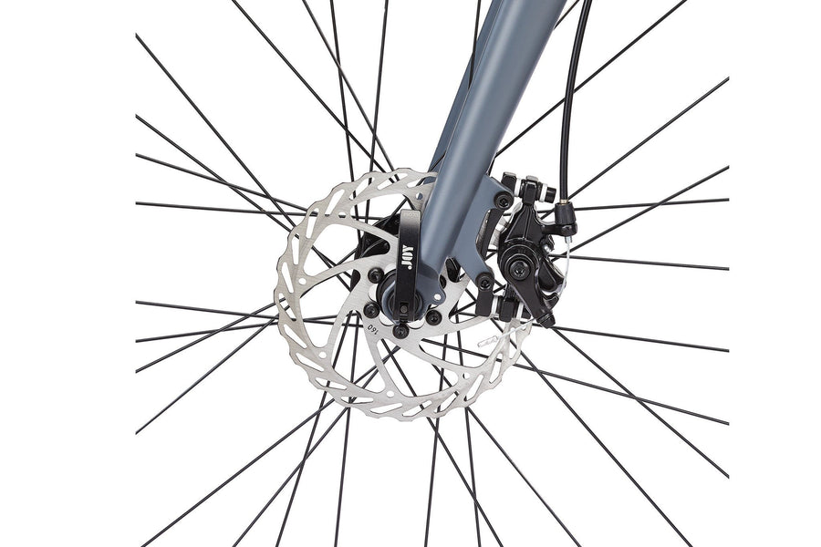 Vélo de ville Raleigh Aura, 700C